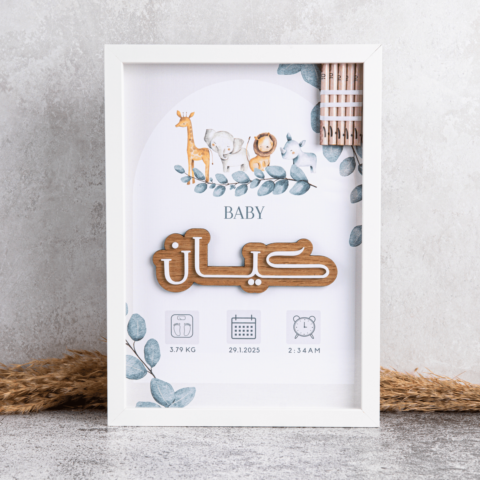 فريم السفاري مع معلومات